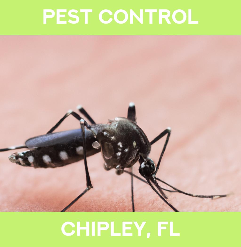 pest control in Chipley Florida