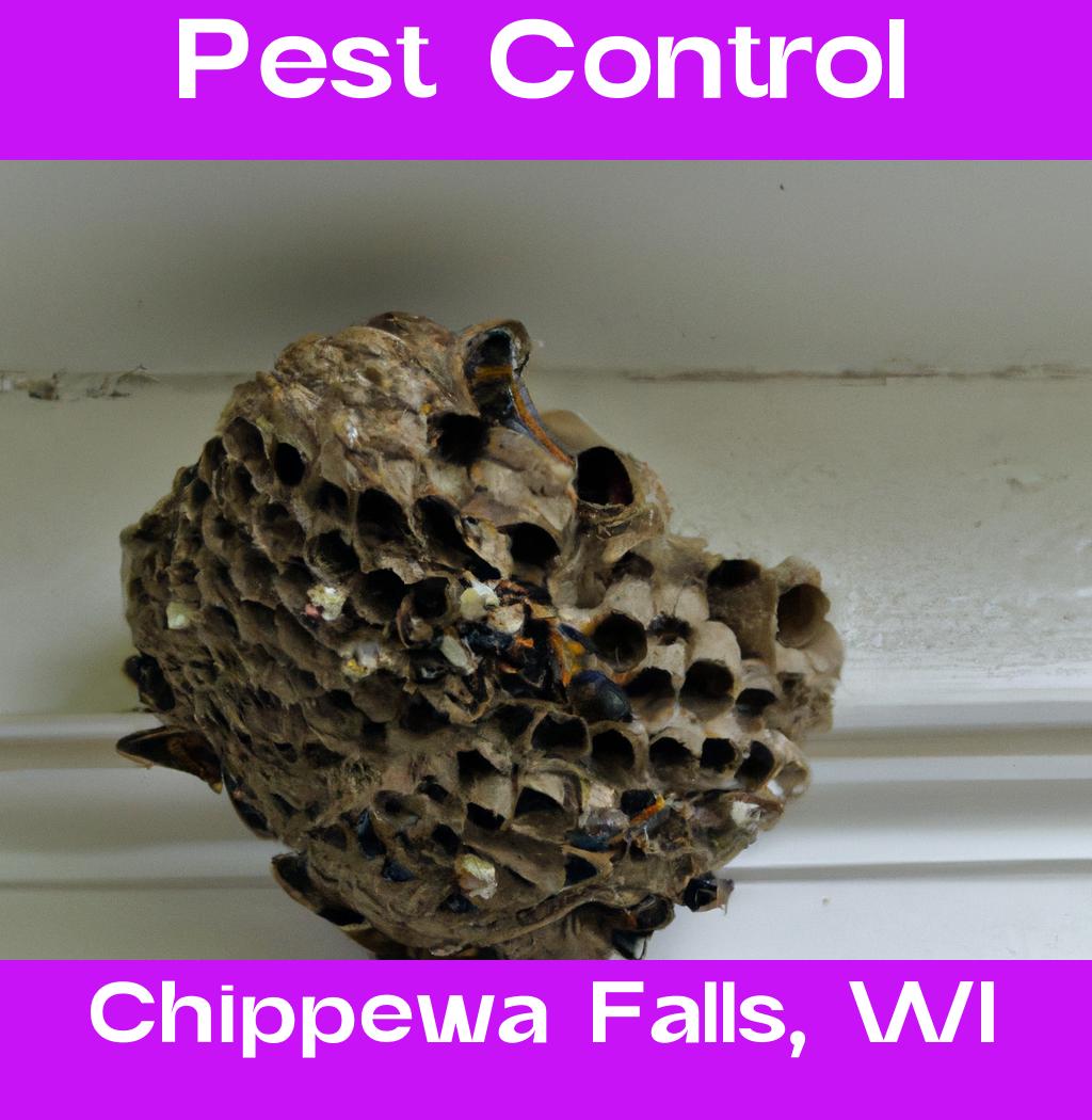 pest control in Chippewa Falls Wisconsin