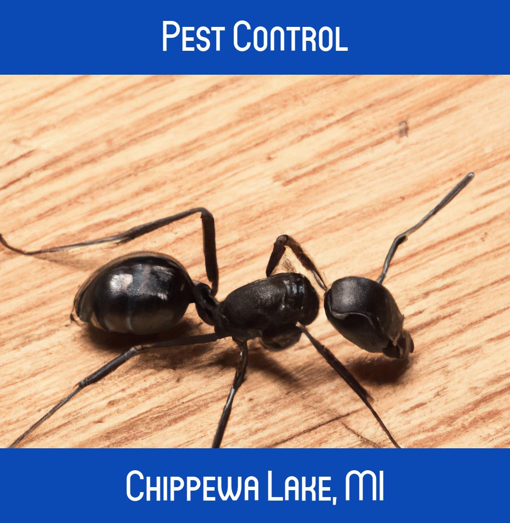 pest control in Chippewa Lake Michigan