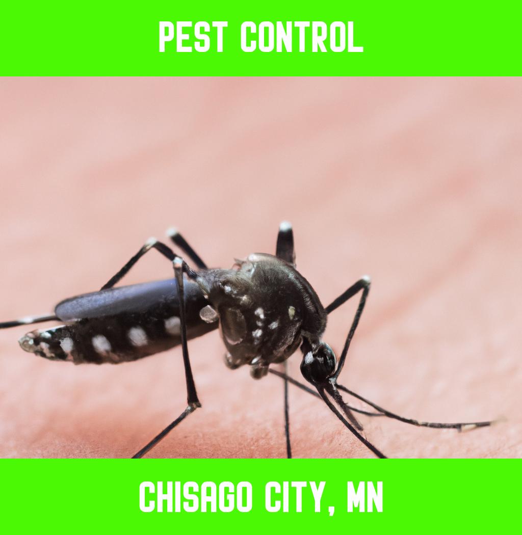 pest control in Chisago City Minnesota