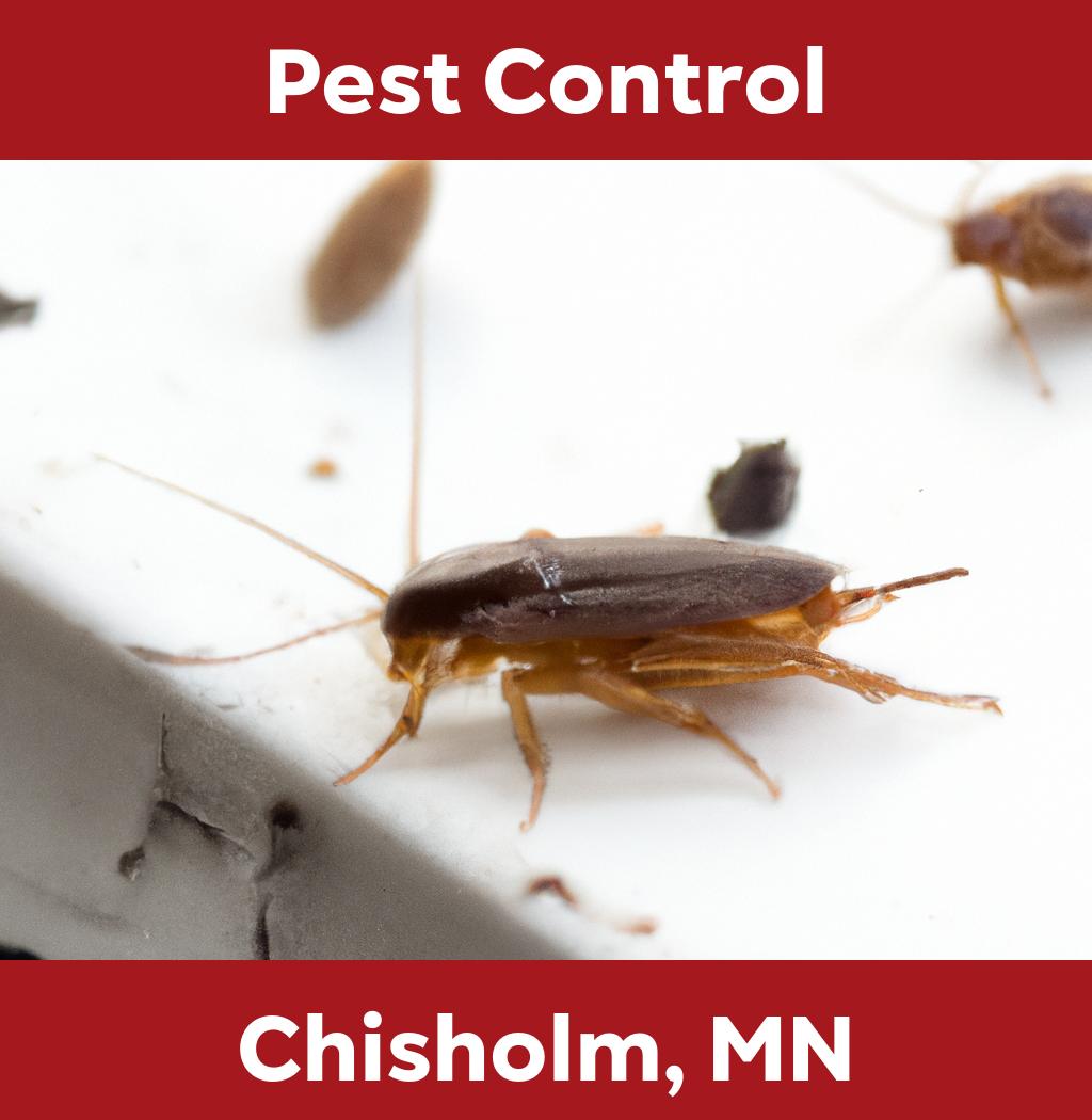 pest control in Chisholm Minnesota