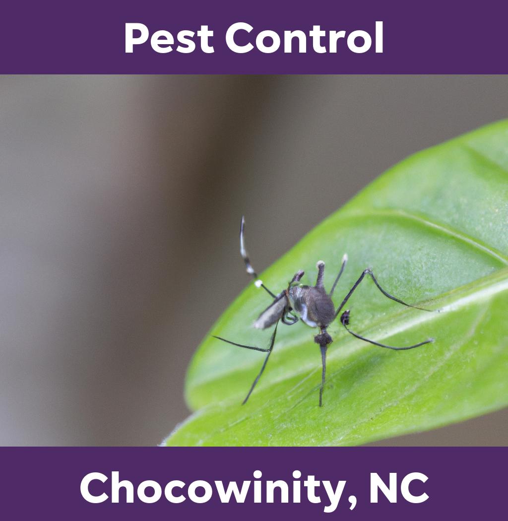 pest control in Chocowinity North Carolina