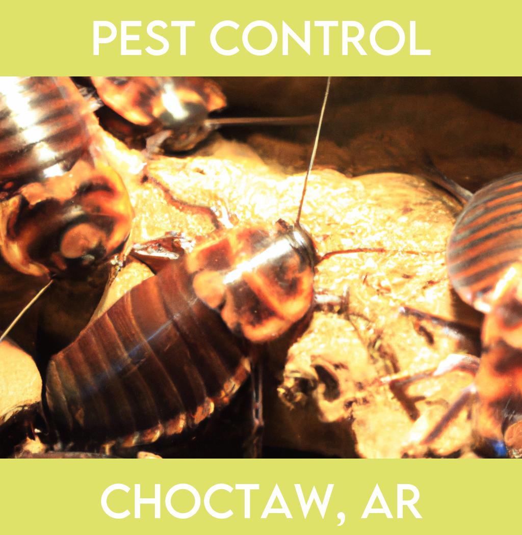 pest control in Choctaw Arkansas