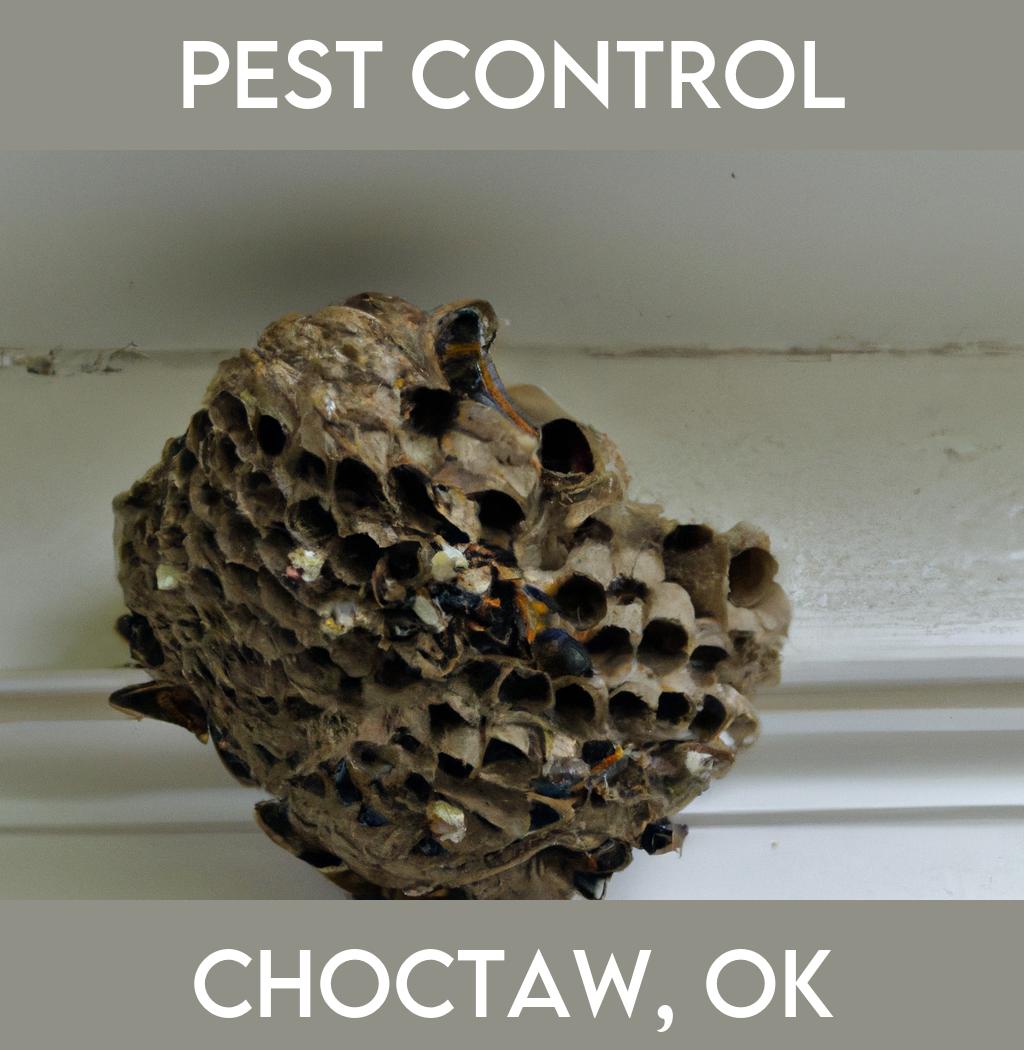 pest control in Choctaw Oklahoma