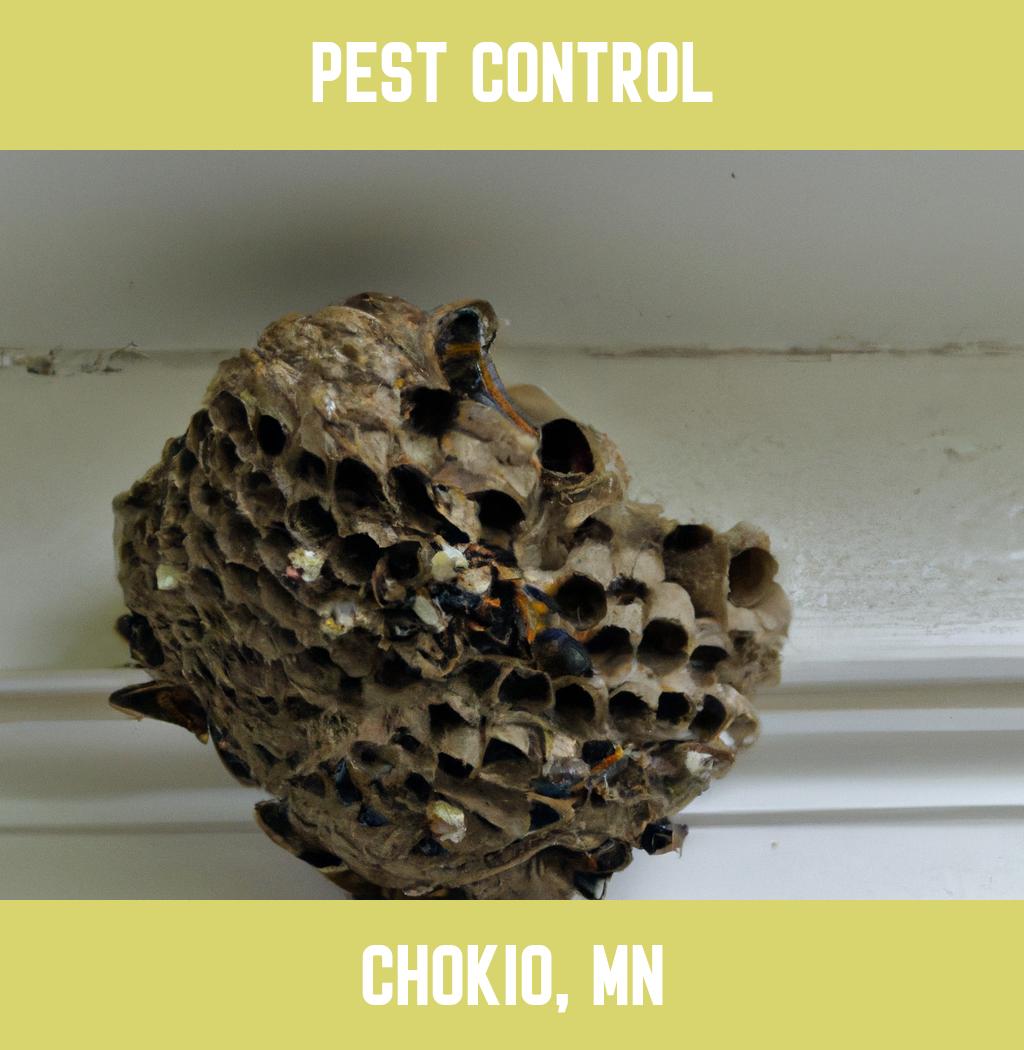 pest control in Chokio Minnesota