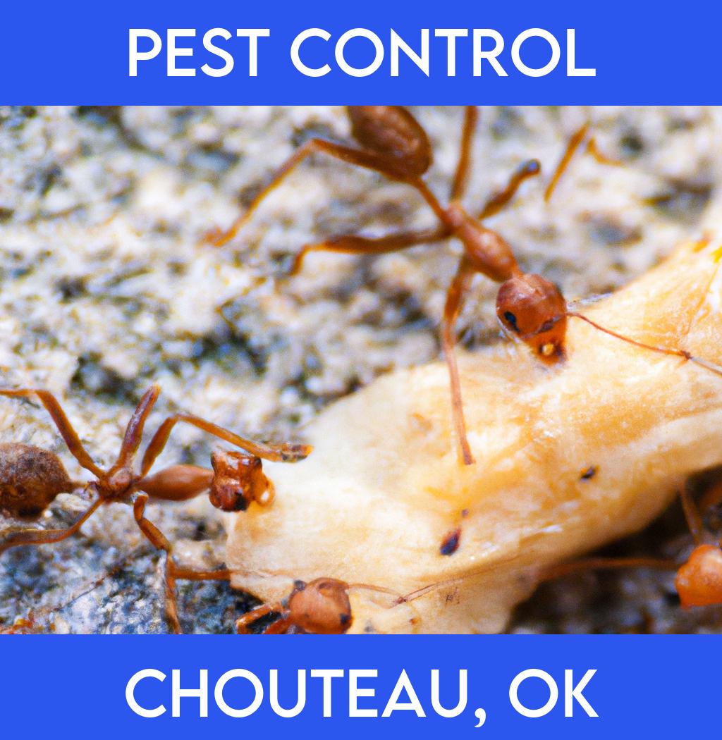 pest control in Chouteau Oklahoma