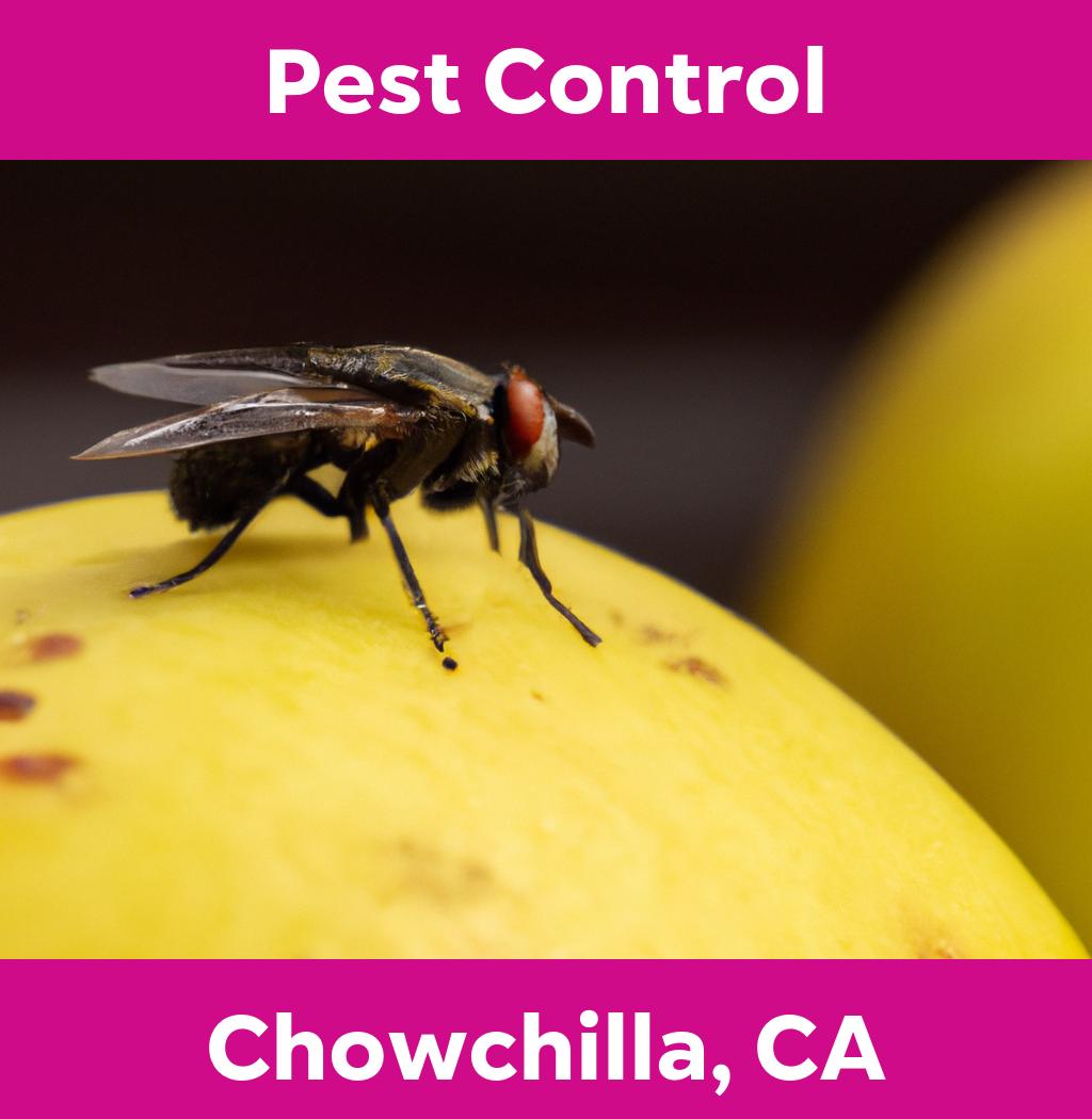 pest control in Chowchilla California