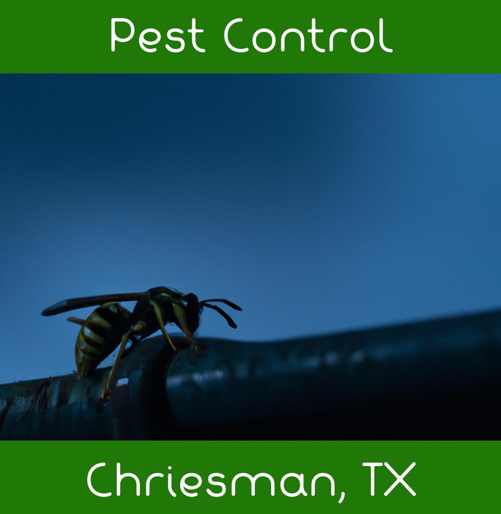 pest control in Chriesman Texas