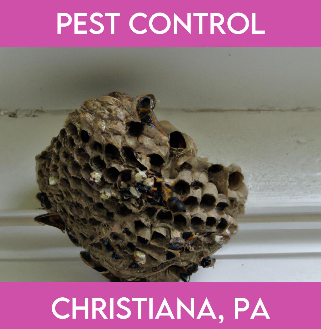 pest control in Christiana Pennsylvania