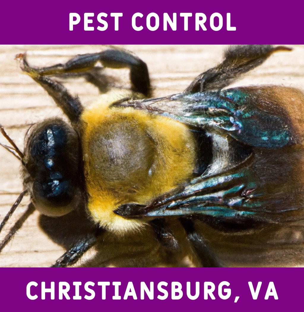 pest control in Christiansburg Virginia