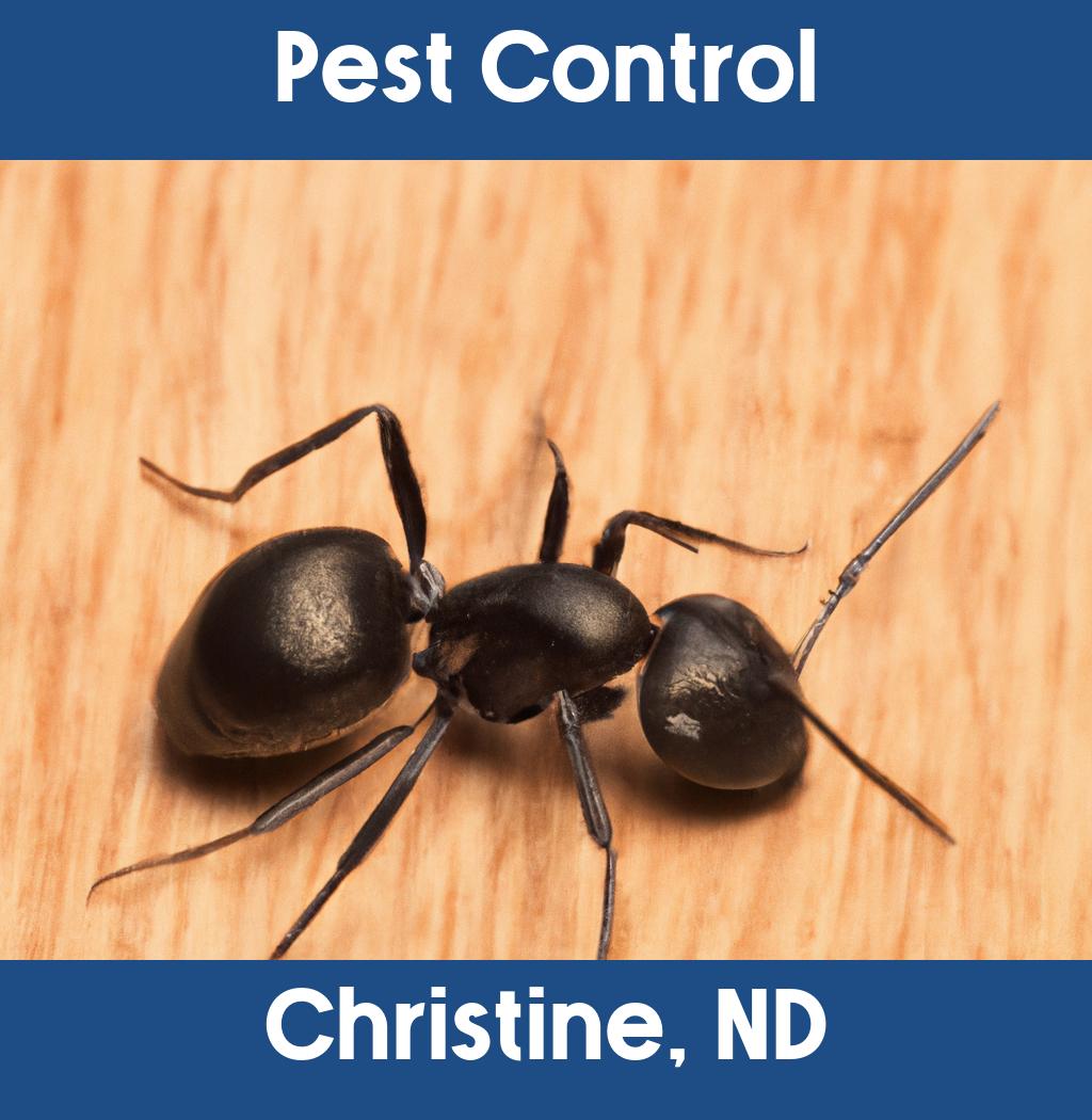 pest control in Christine North Dakota