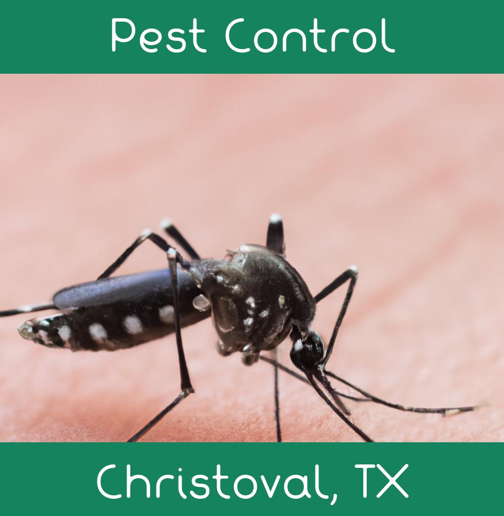 pest control in Christoval Texas