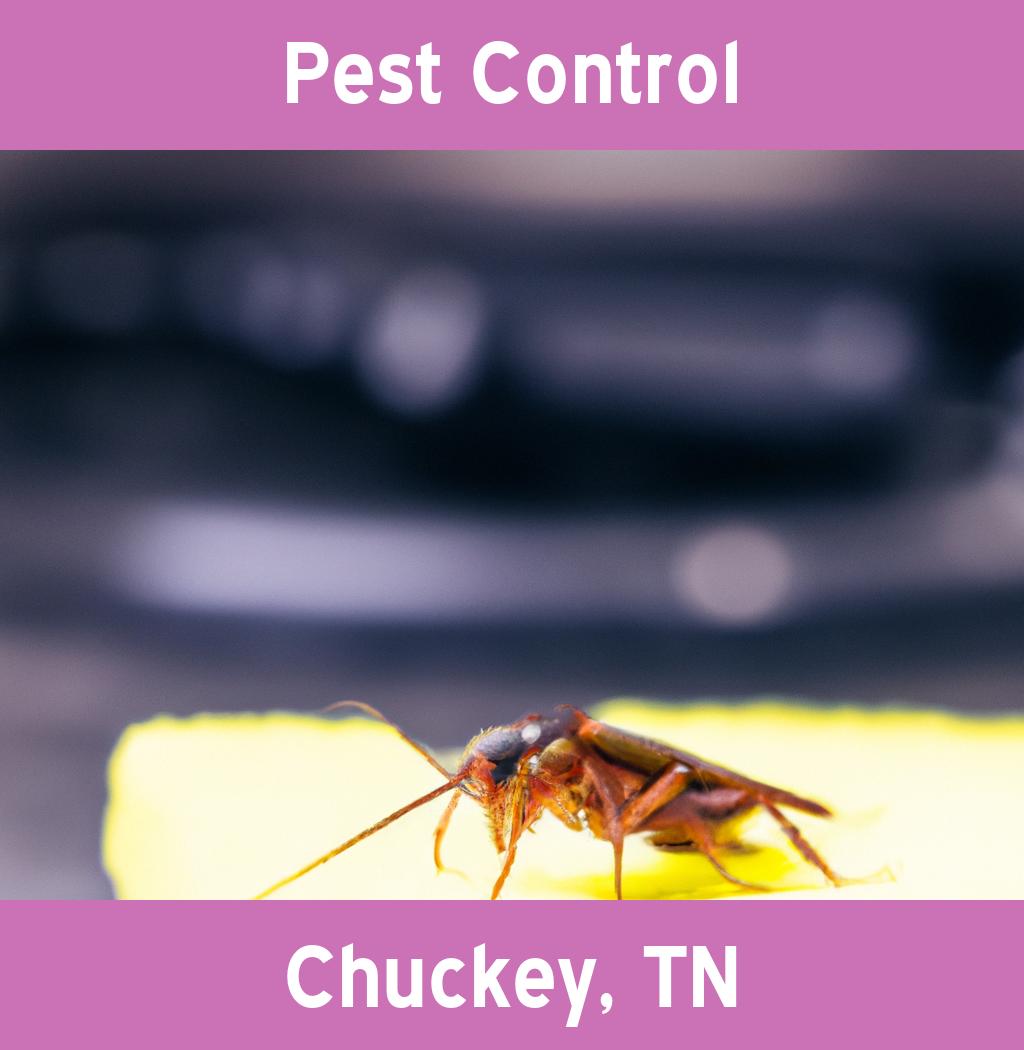 pest control in Chuckey Tennessee