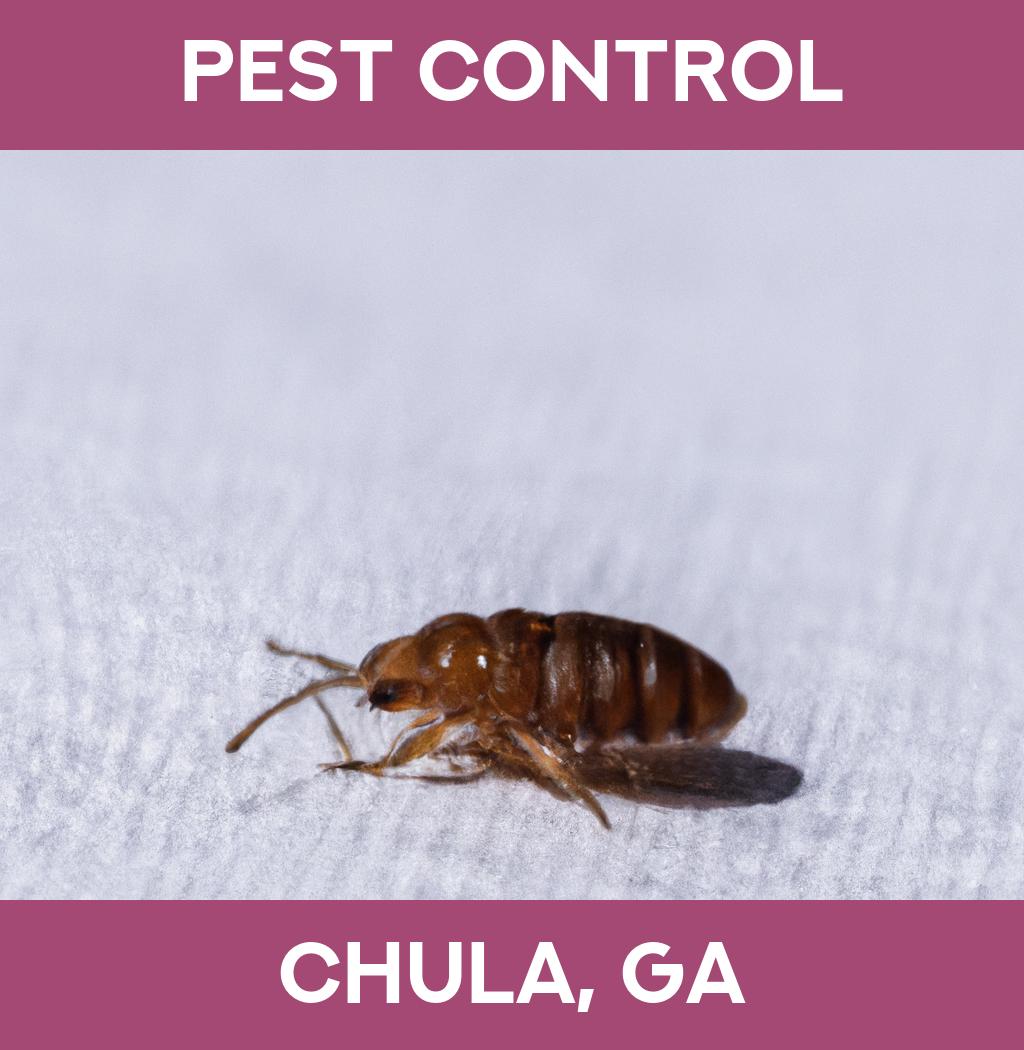 pest control in Chula Georgia