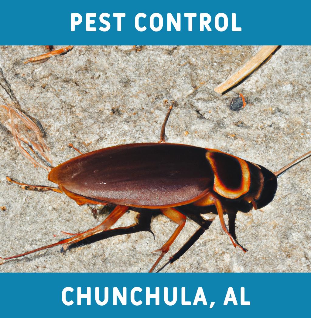 pest control in Chunchula Alabama