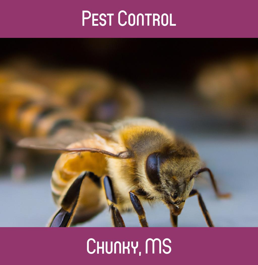 pest control in Chunky Mississippi