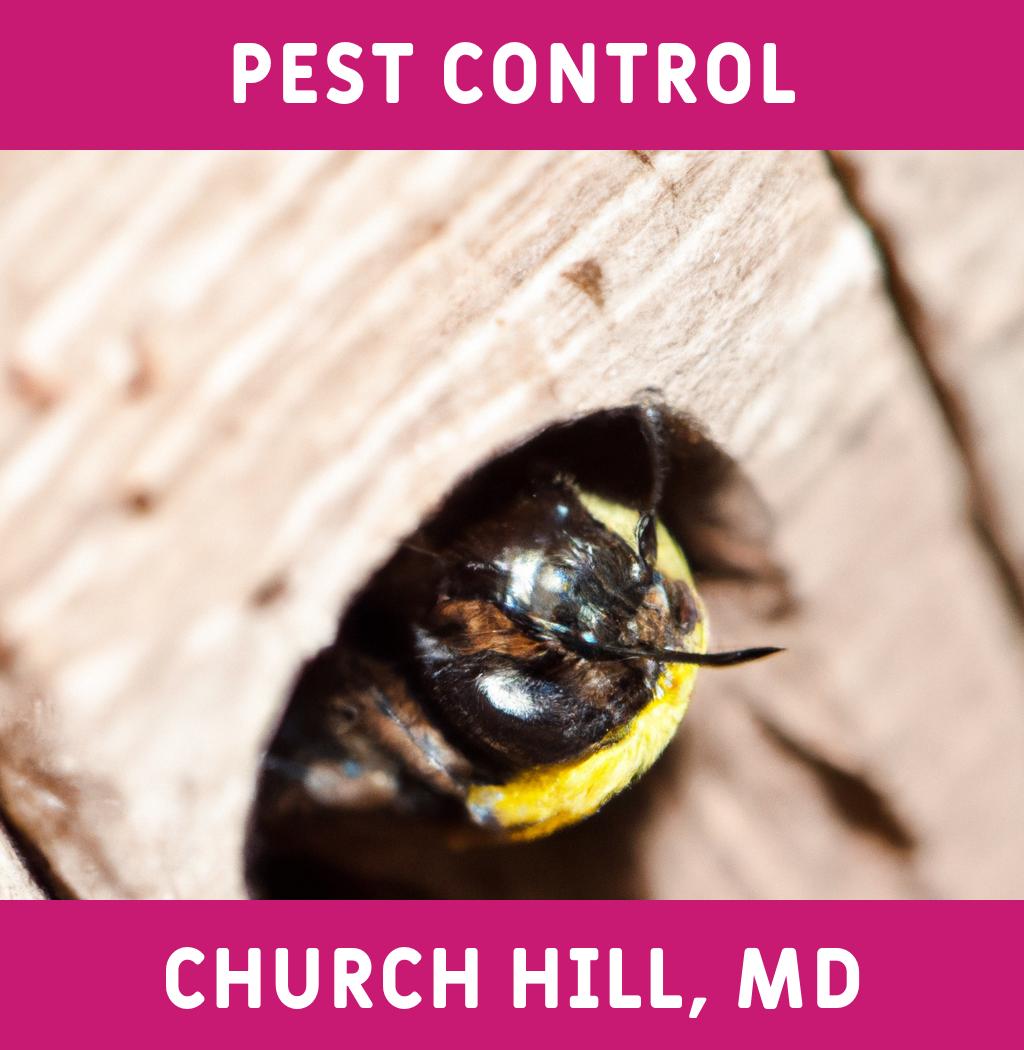 pest control in Church Hill Maryland