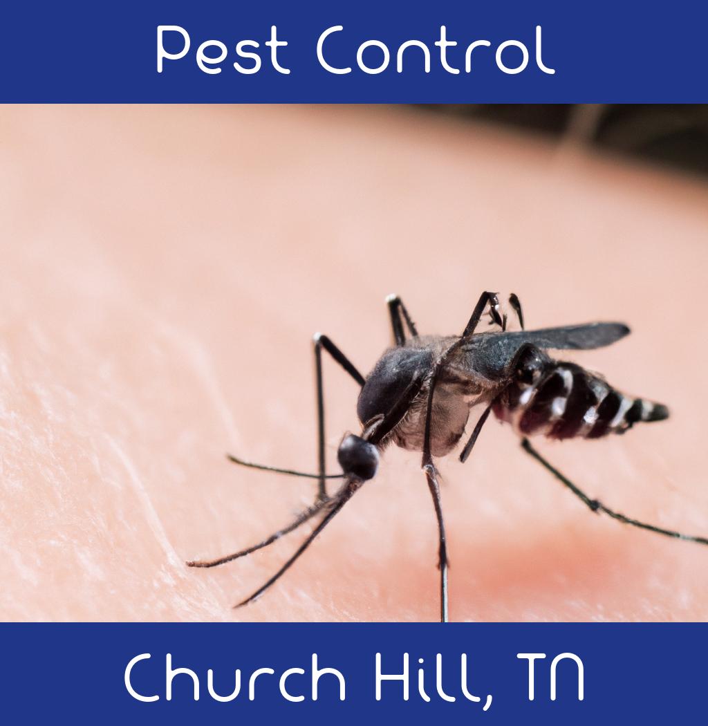 pest control in Church Hill Tennessee
