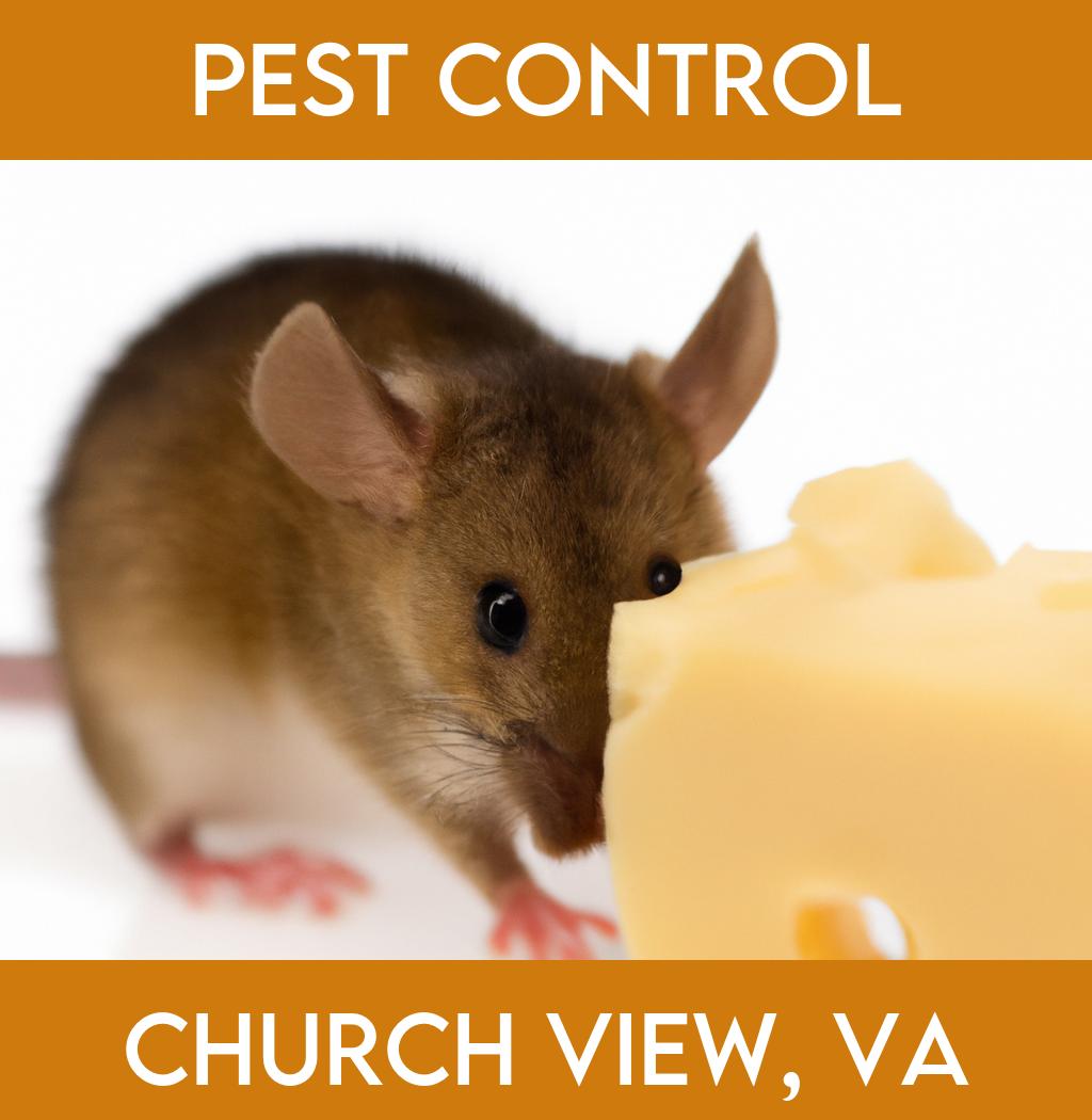 pest control in Church View Virginia