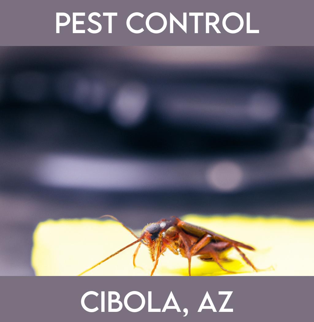 pest control in Cibola Arizona