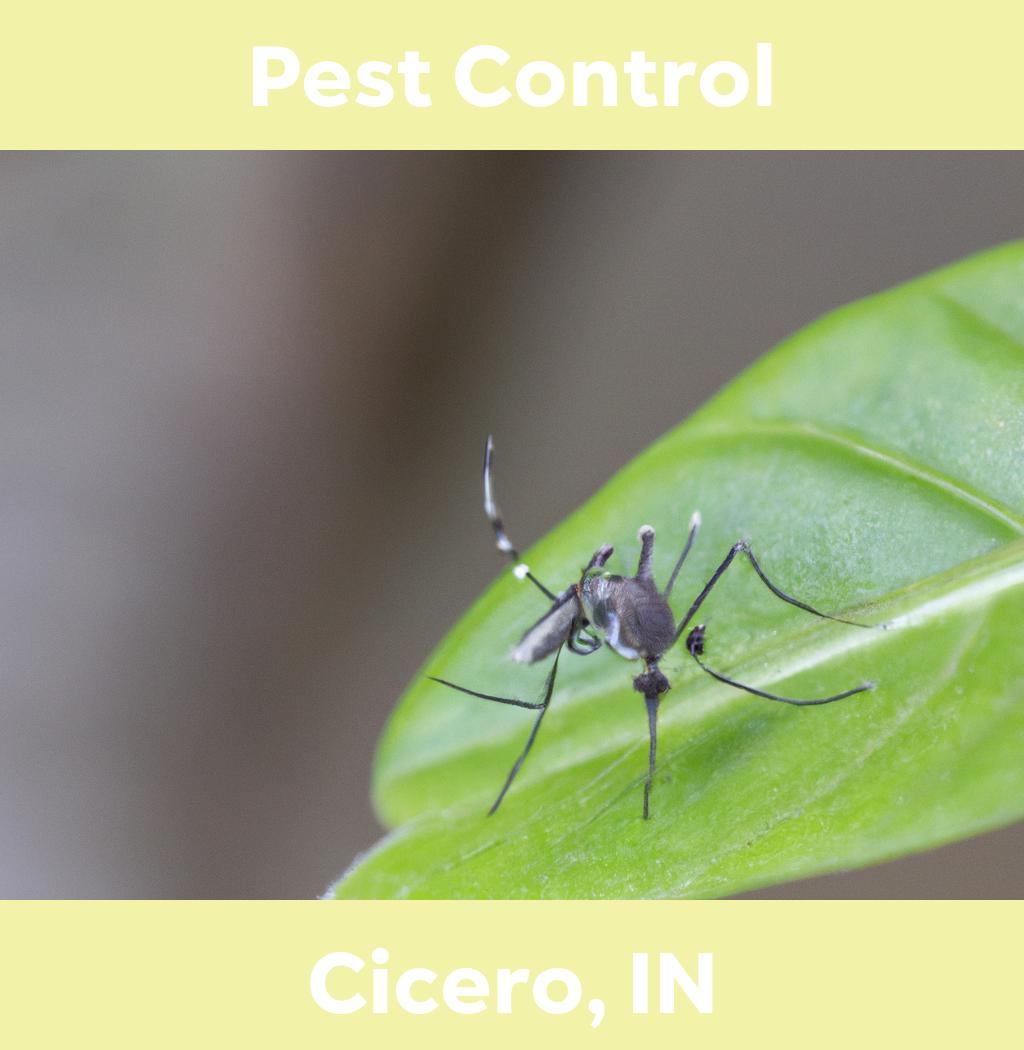 pest control in Cicero Indiana