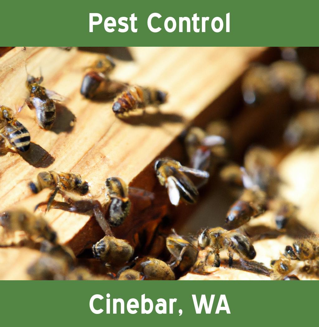 pest control in Cinebar Washington