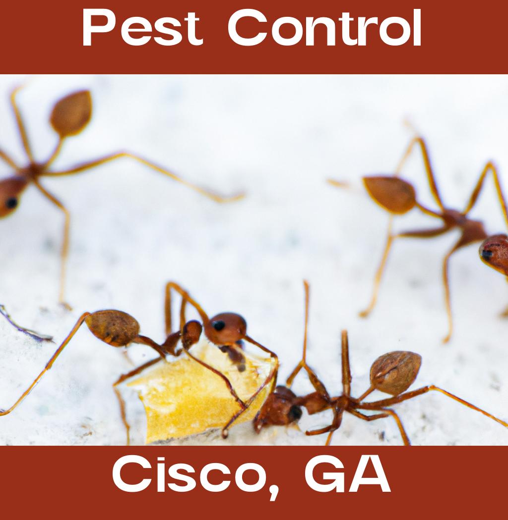 pest control in Cisco Georgia