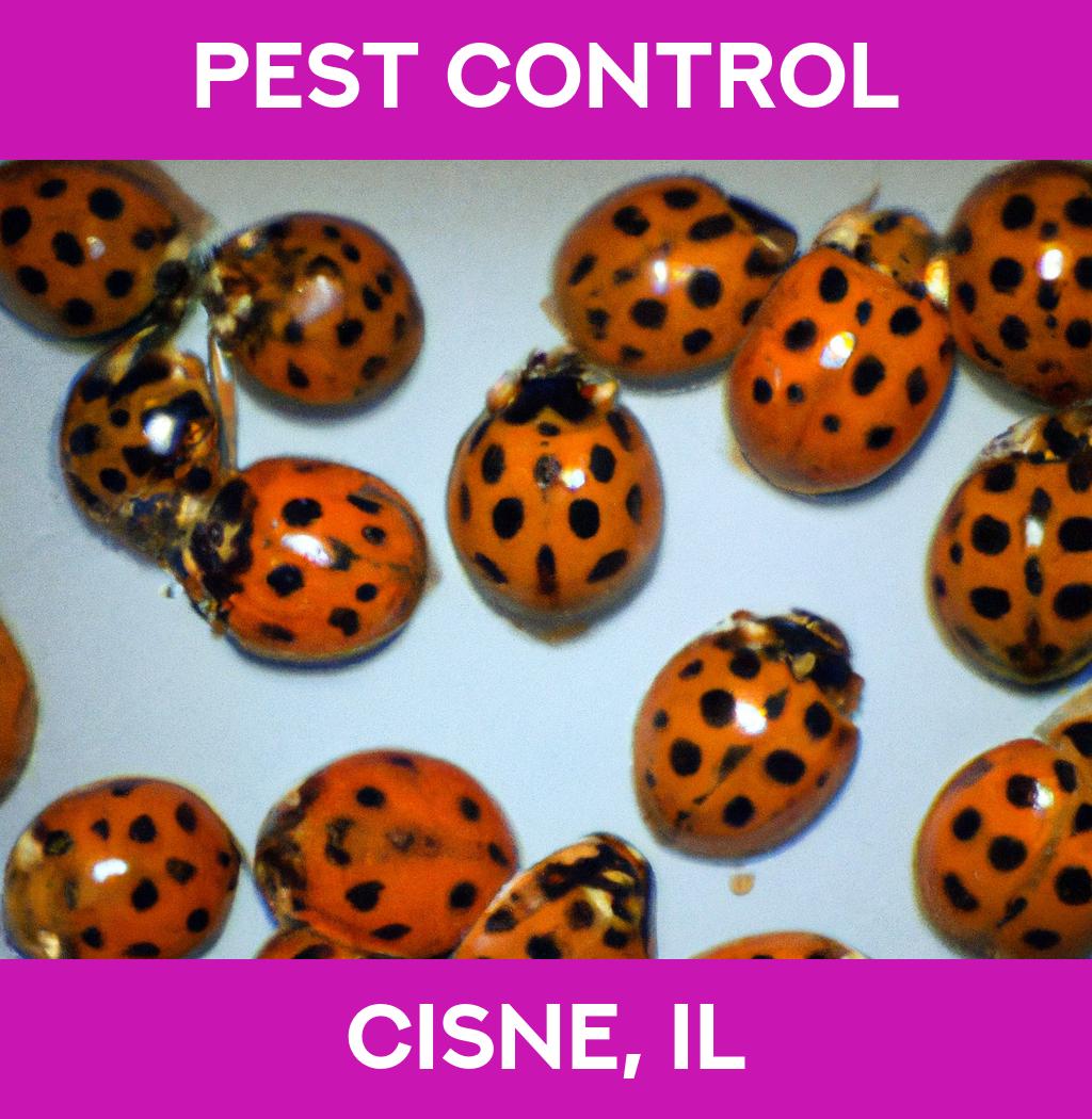 pest control in Cisne Illinois
