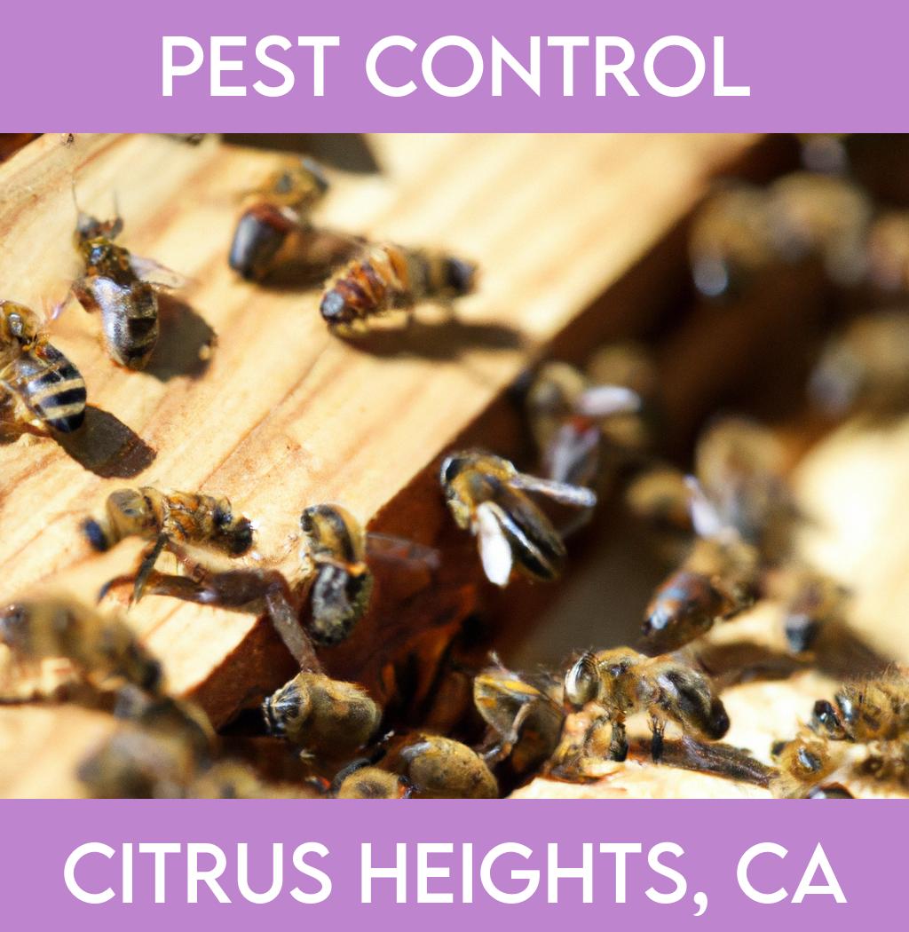 pest control in Citrus Heights California