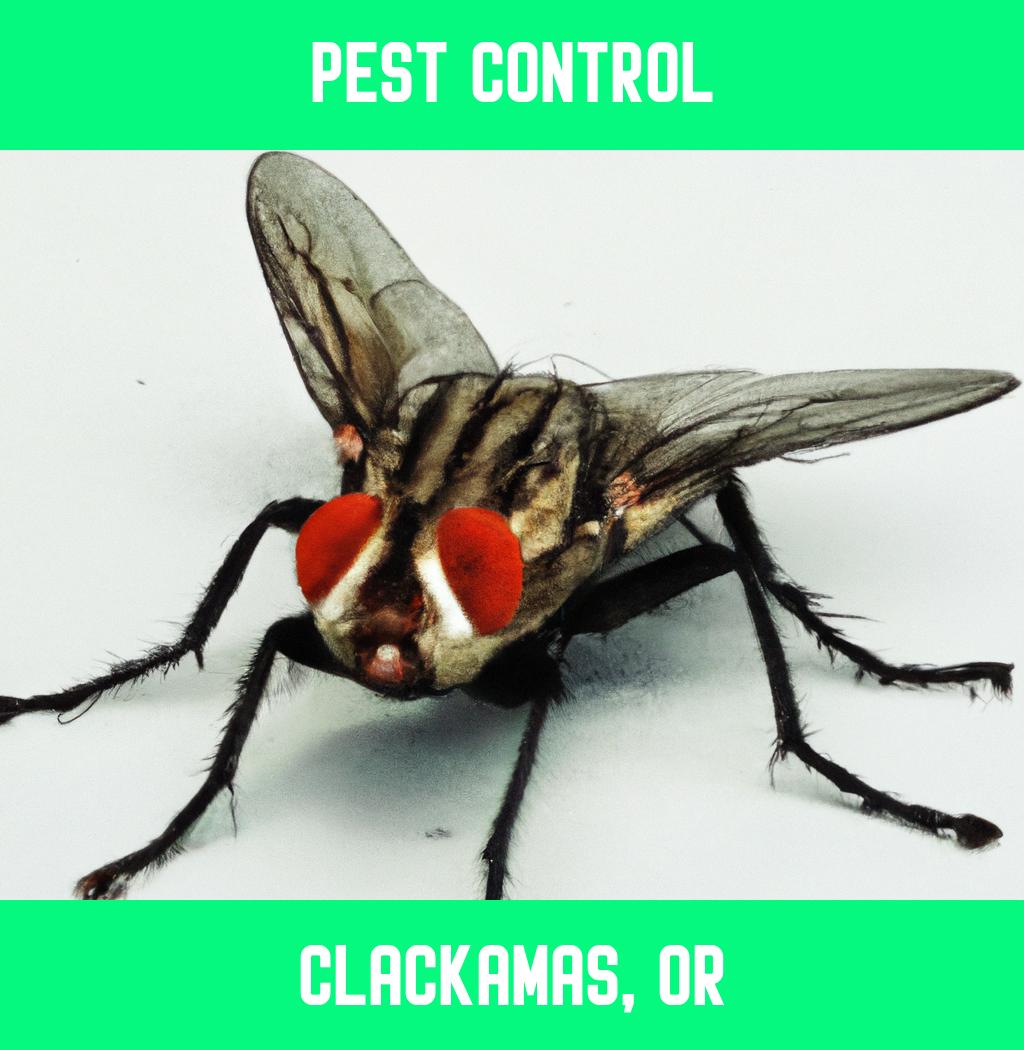 pest control in Clackamas Oregon