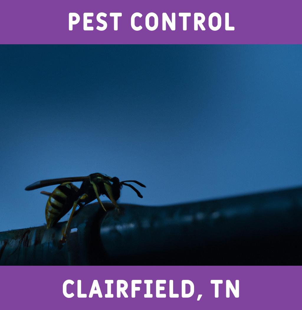 pest control in Clairfield Tennessee