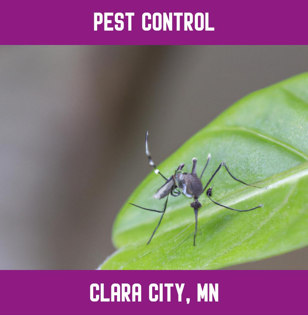 pest control in Clara City Minnesota