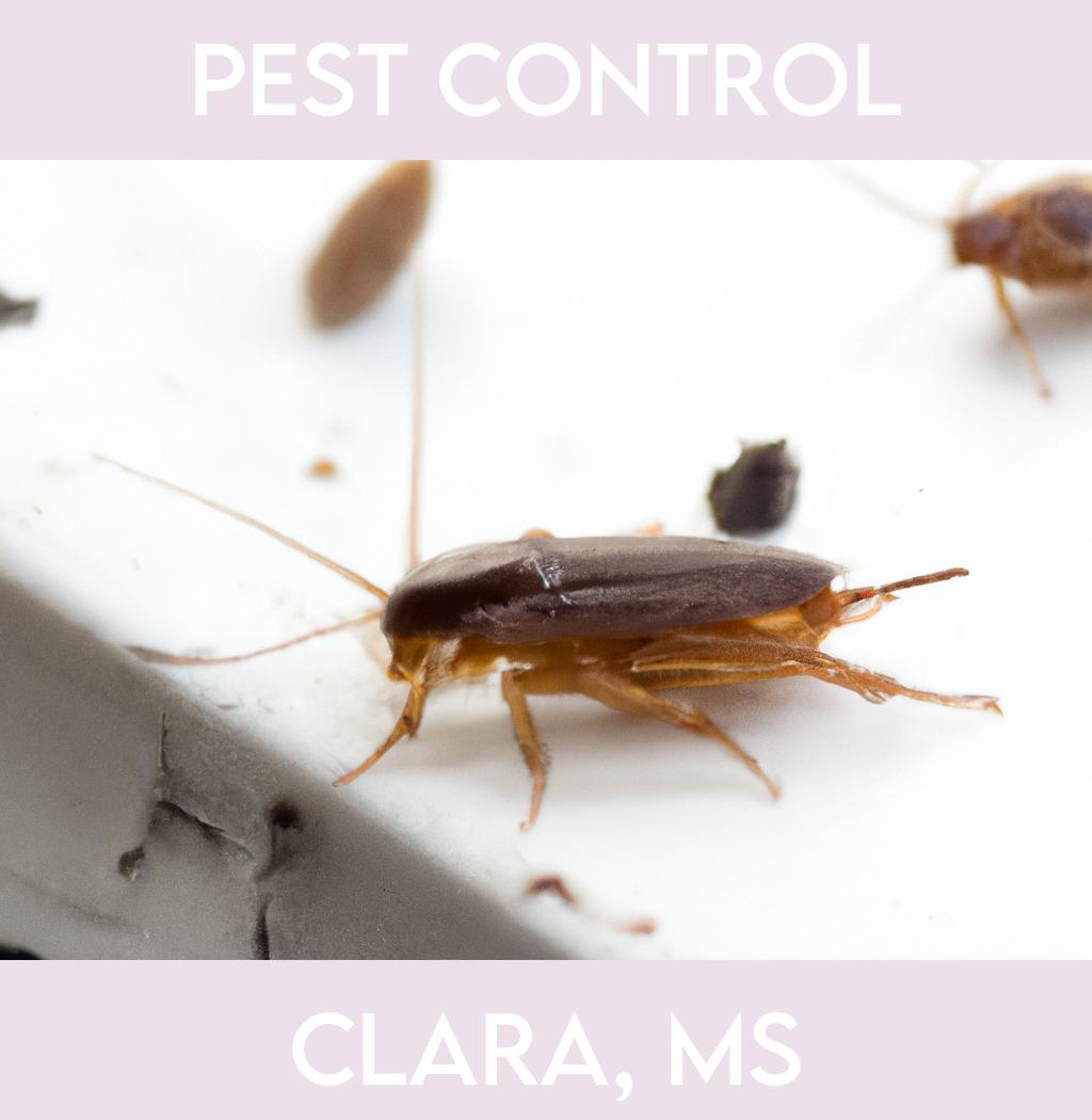 pest control in Clara Mississippi