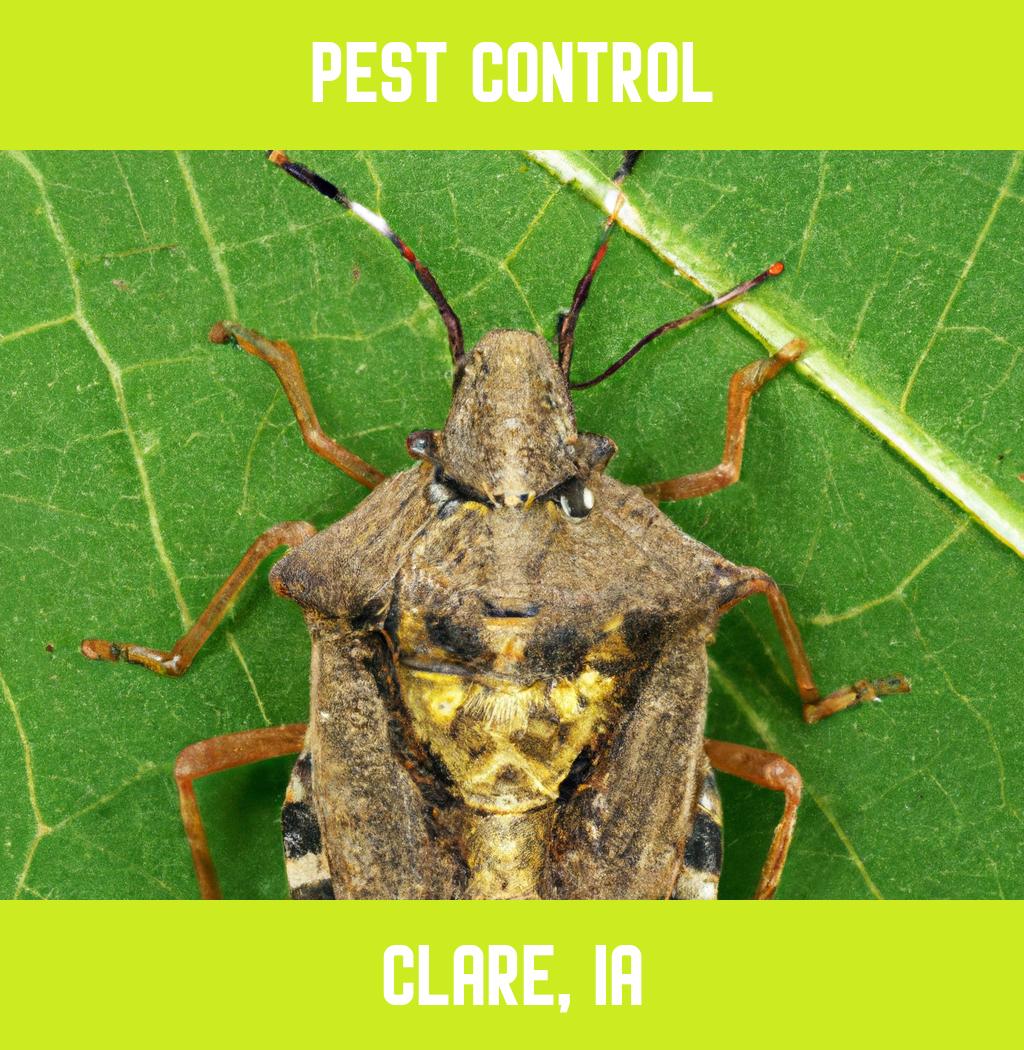 pest control in Clare Iowa