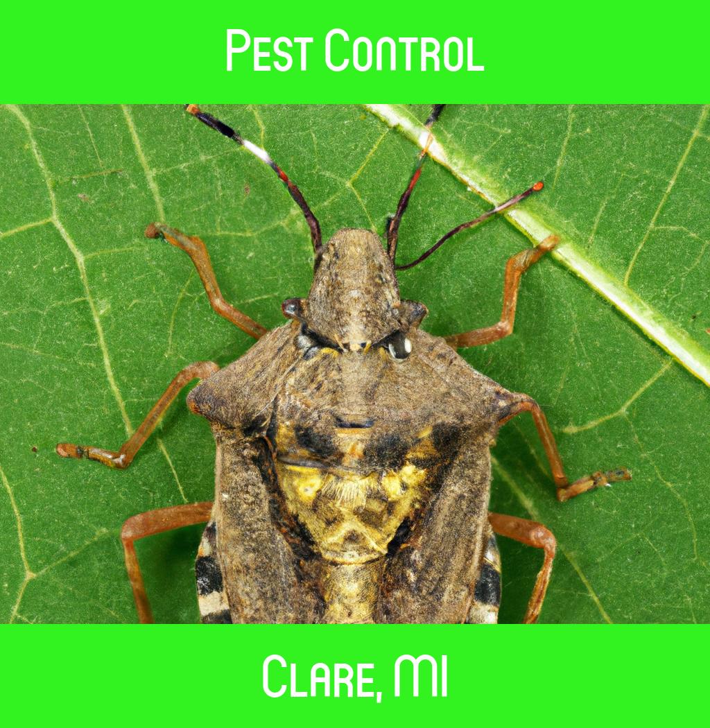 pest control in Clare Michigan