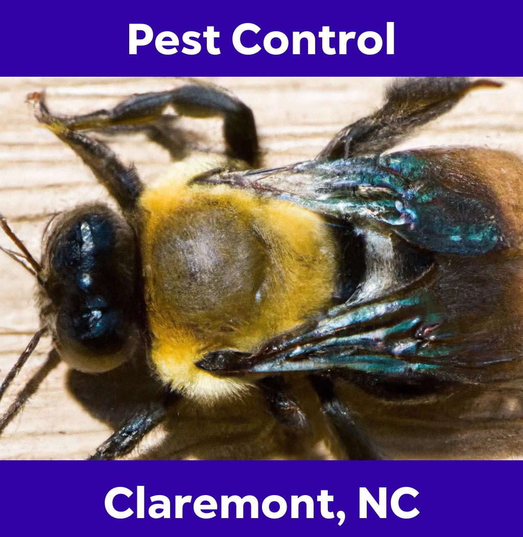 pest control in Claremont North Carolina