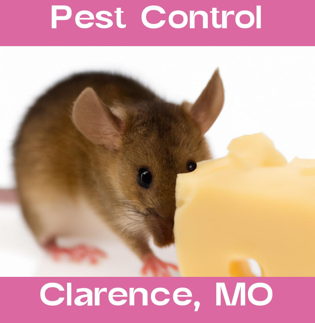 pest control in Clarence Missouri