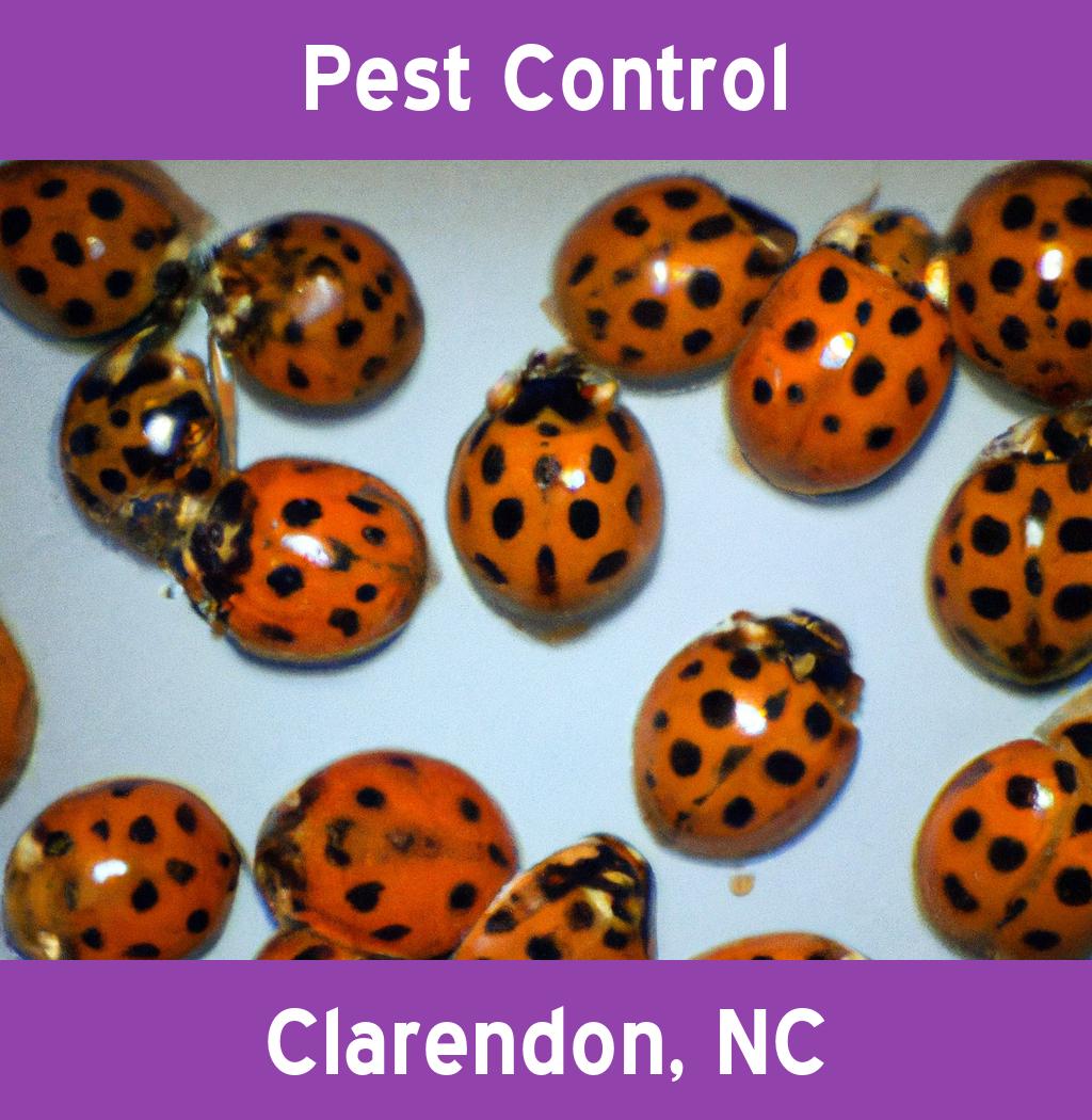pest control in Clarendon North Carolina