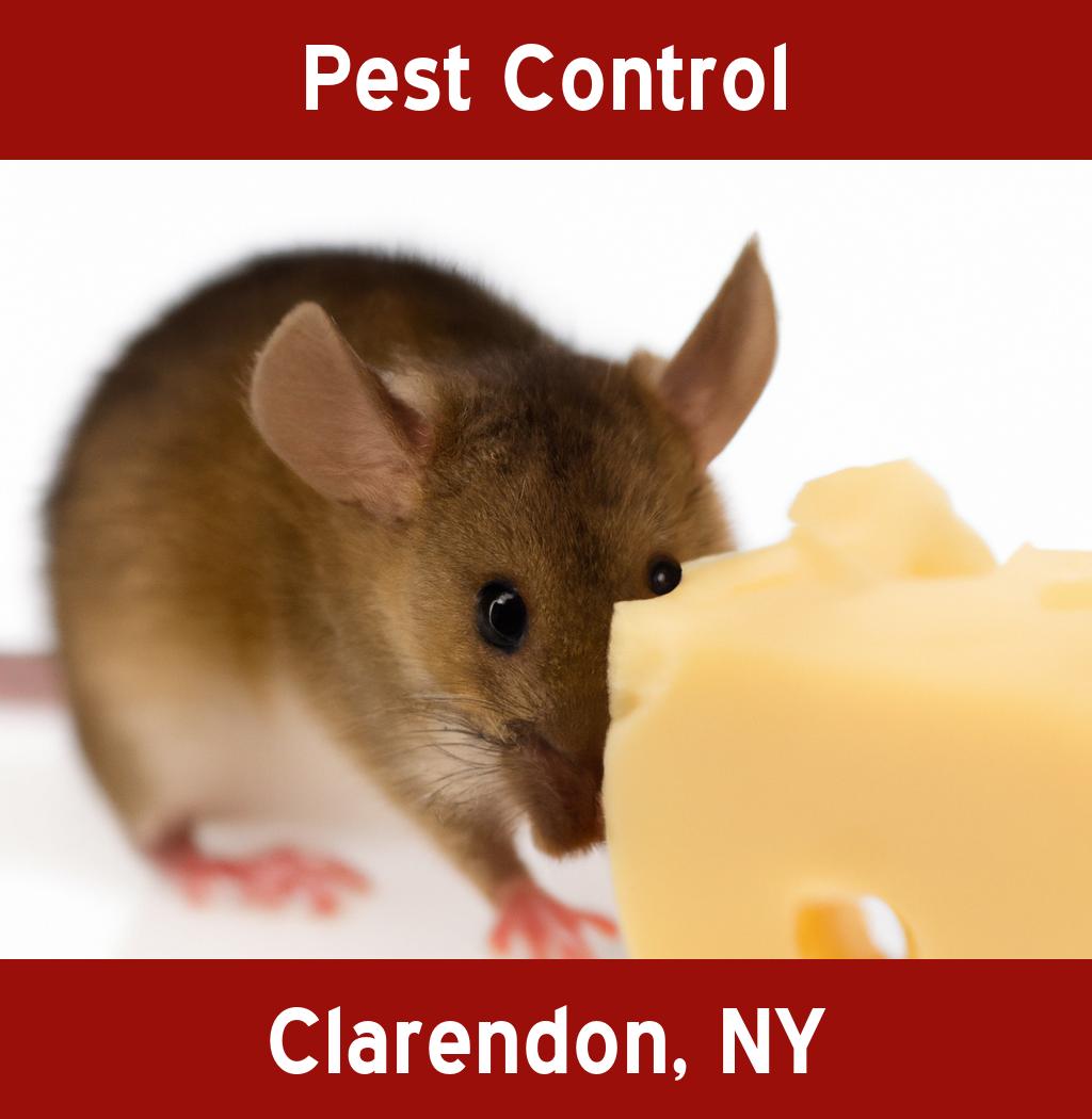 pest control in Clarendon New York