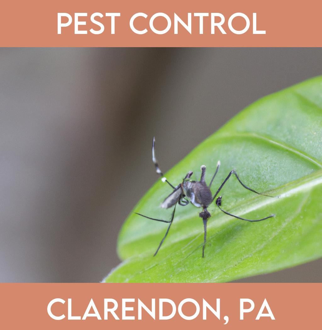 pest control in Clarendon Pennsylvania