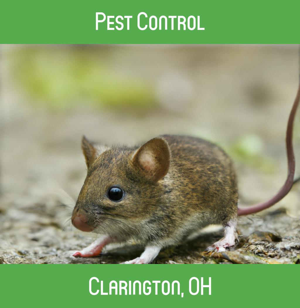 pest control in Clarington Ohio