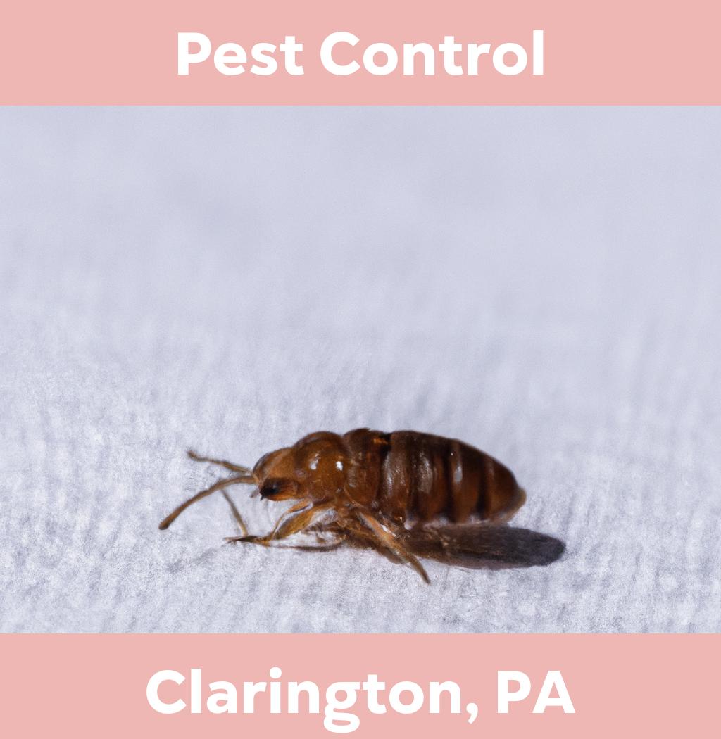 pest control in Clarington Pennsylvania