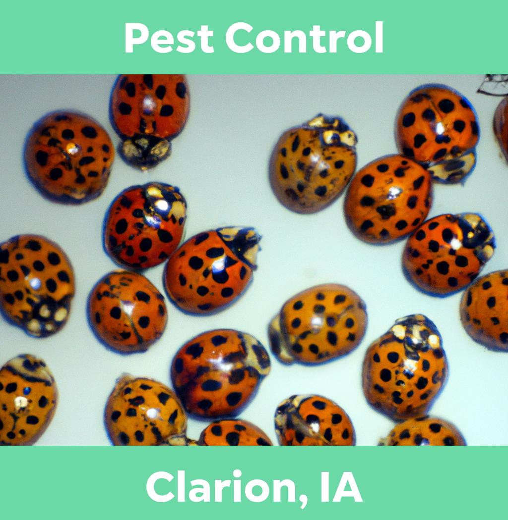 pest control in Clarion Iowa