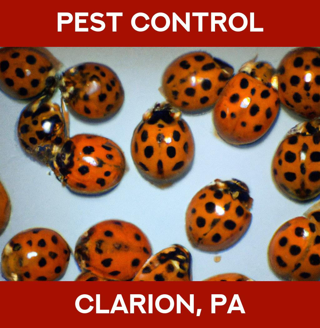 pest control in Clarion Pennsylvania