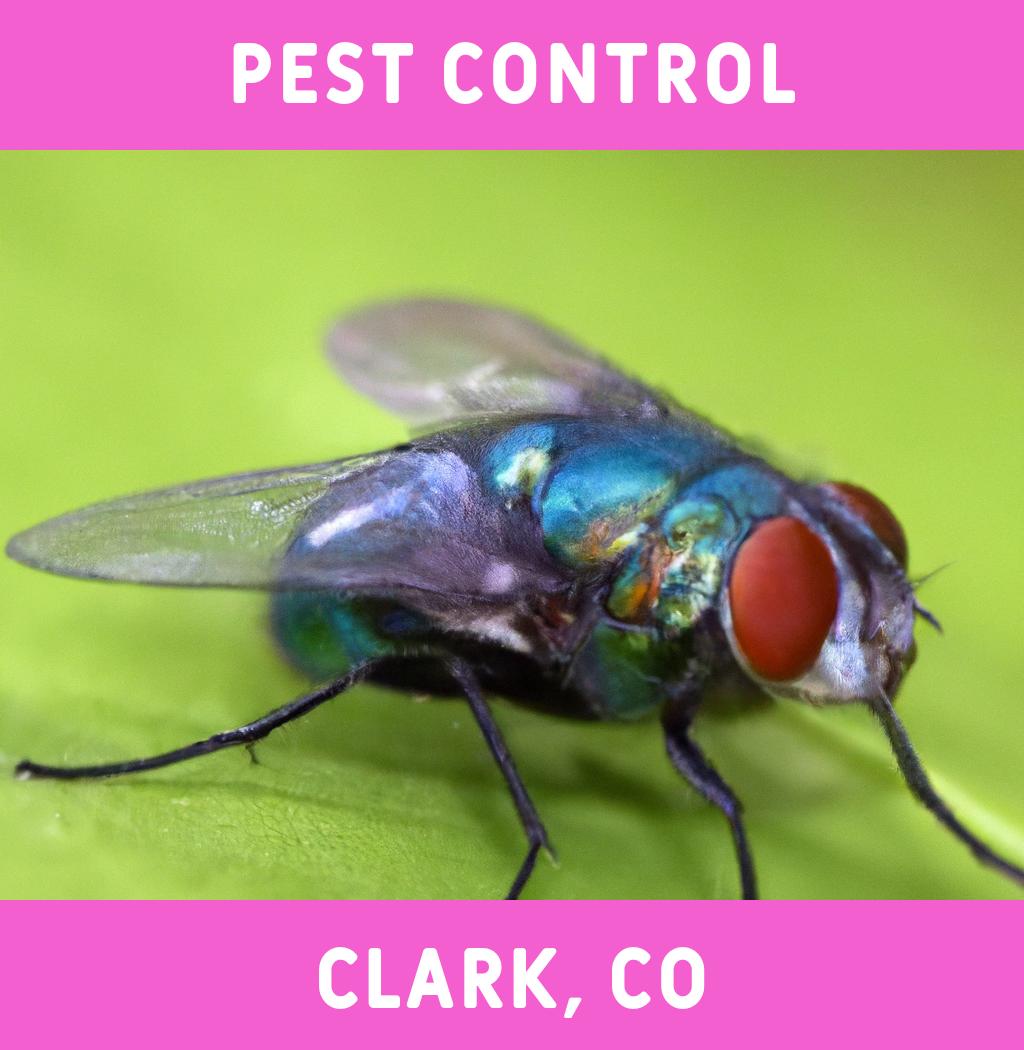 pest control in Clark Colorado