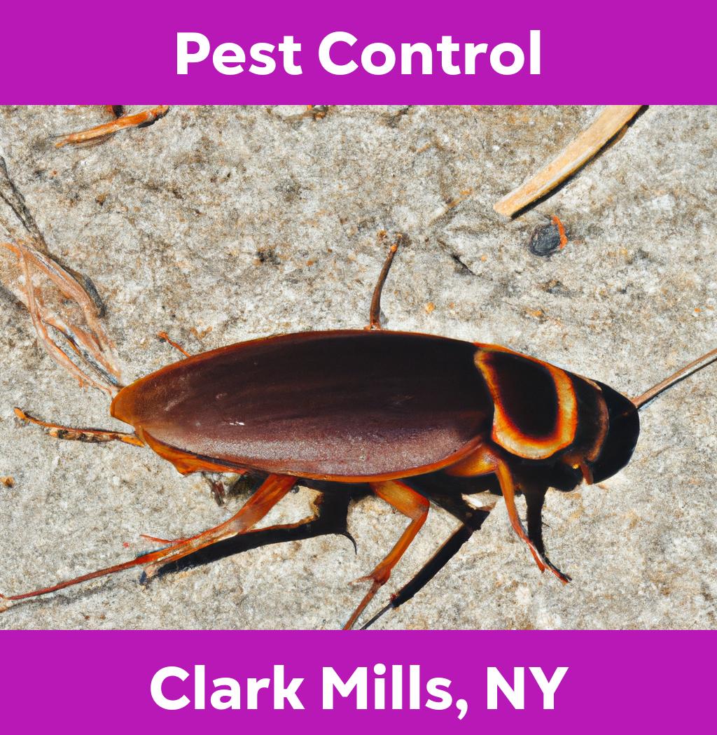 pest control in Clark Mills New York