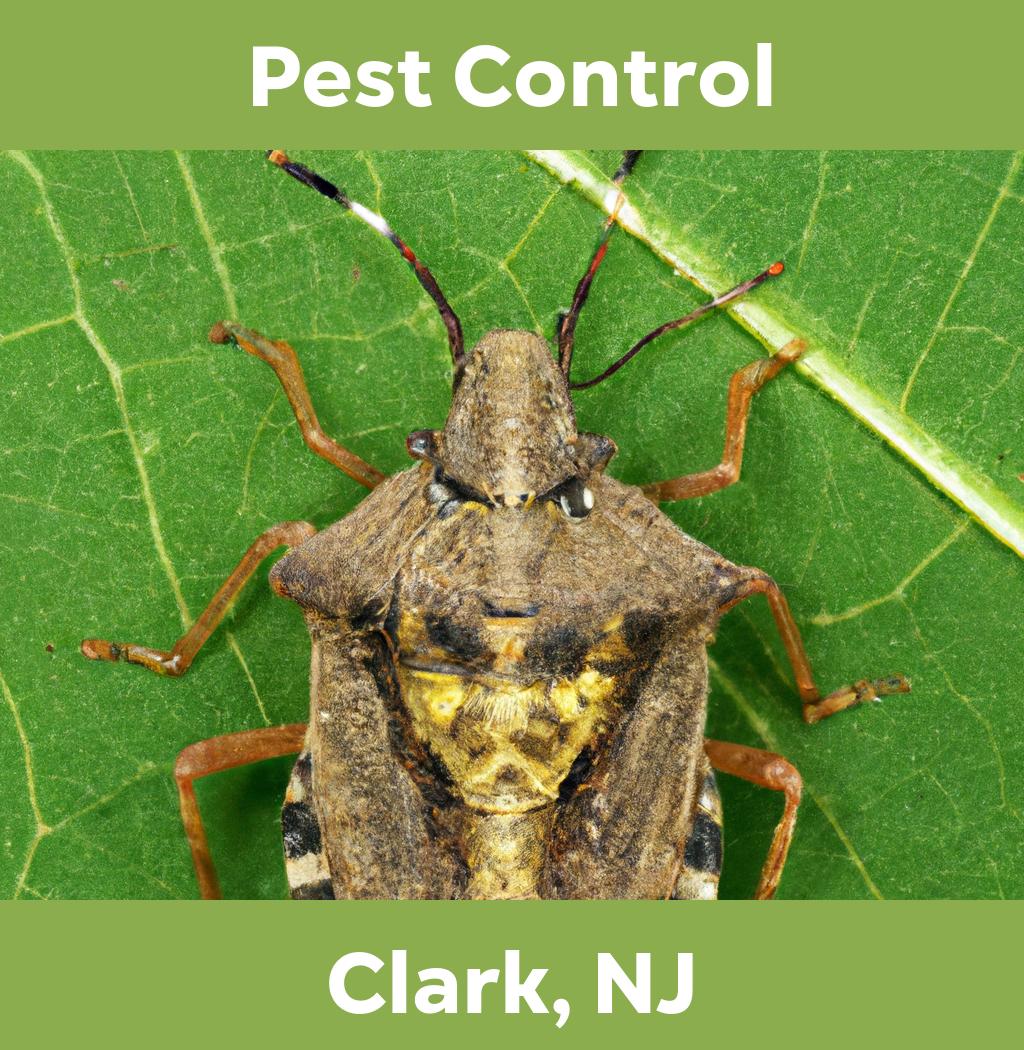 pest control in Clark New Jersey