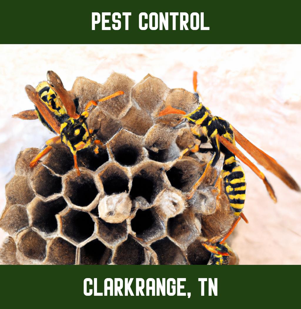 pest control in Clarkrange Tennessee