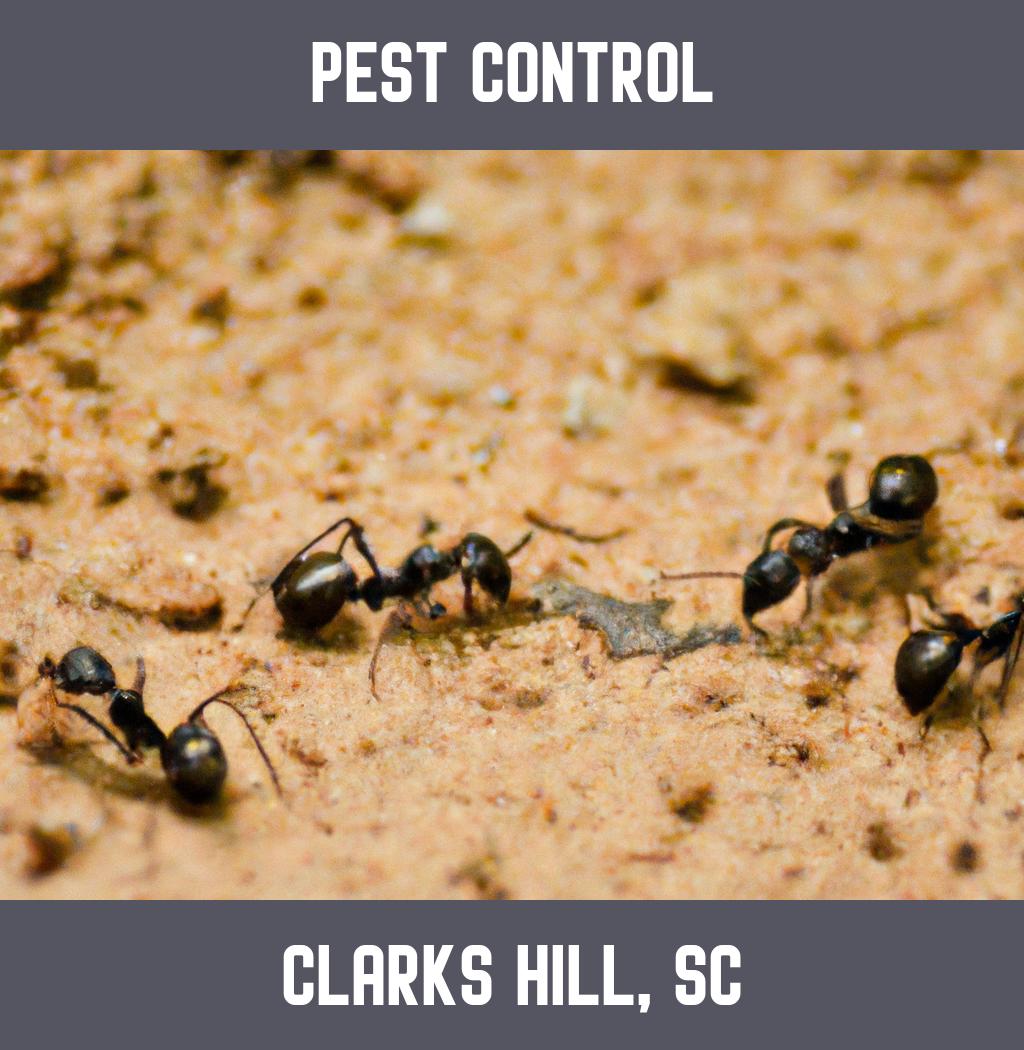 pest control in Clarks Hill South Carolina