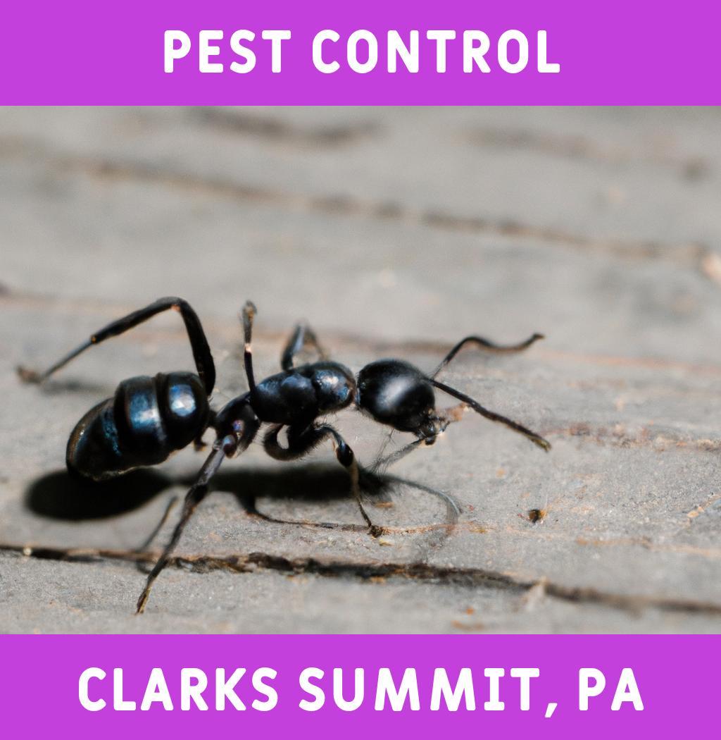 pest control in Clarks Summit Pennsylvania